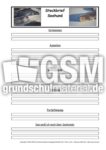 Seehund-Steckbriefvorlage.pdf